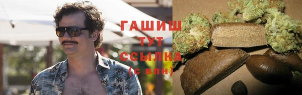индика Алзамай