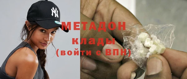 индика Алзамай