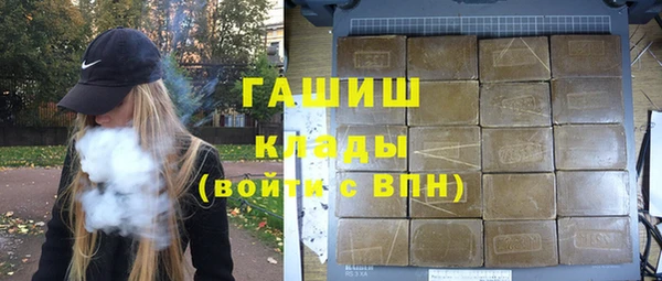 индика Алзамай